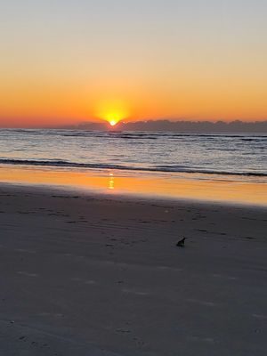 Photo of Suzanne Freed - Envelopes of God, charleston, USA